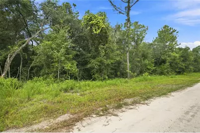 21350 SE 66th Street, Morriston, FL 32668 - Photo 17