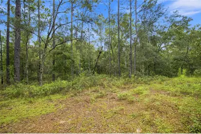 21350 SE 66th Street, Morriston, FL 32668 - Photo 15