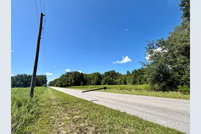 Tbd SW 132nd Avenue, Dunnellon, FL 34432 - Photo 1
