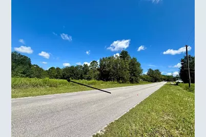 Tbd SW 132nd Avenue, Dunnellon, FL 34432 - Photo 3