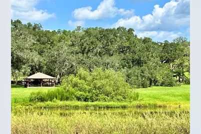Tbd SW 132nd Avenue, Dunnellon, FL 34432 - Photo 31