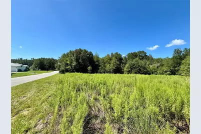 Tbd SW 132nd Avenue, Dunnellon, FL 34432 - Photo 5