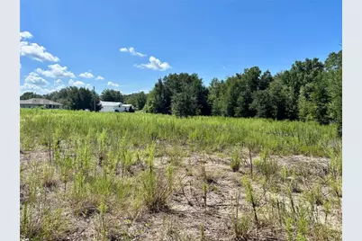 Tbd SW 132nd Avenue, Dunnellon, FL 34432 - Photo 9