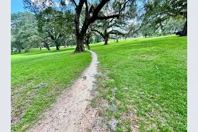 Tbd SW 132nd Avenue, Dunnellon, FL 34432 - Photo 21