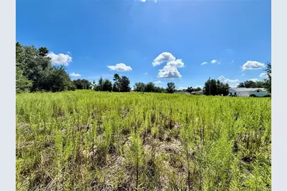 Tbd SW 132nd Avenue, Dunnellon, FL 34432 - Photo 7