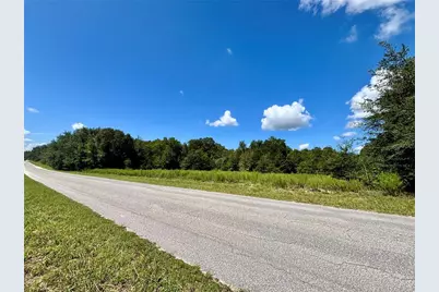 Tbd SW 132nd Avenue, Dunnellon, FL 34432 - Photo 13