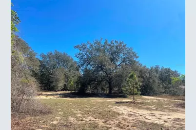 17530 SE Highway 452, Umatilla, FL 32784 - Photo 31
