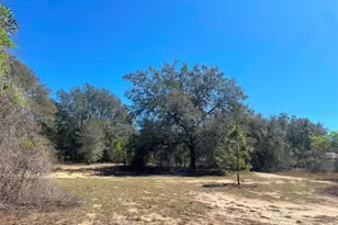 17530 SE Hwy 452, Umatilla, FL 32784 - Photo 31