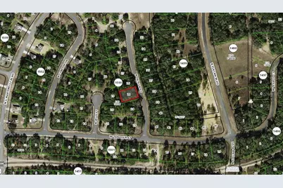 11352 N Ortega Point, Citrus Springs, FL 34433 - Photo 5