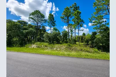 Sw Nectarine Lane, Dunnellon, FL 34431 - Photo 3