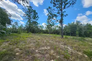 SW Nectarine Ln, Dunnellon, FL 34431 - Photo 1