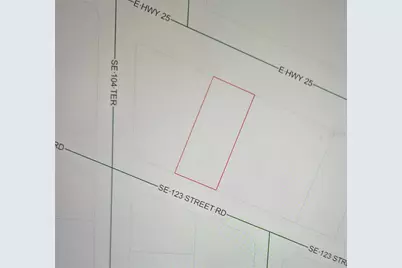 E Hwy 25, Belleview, FL 34420 - Photo 3