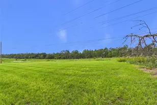 16962 SW 44th Cir, Ocala, FL 34473 - Photo 23