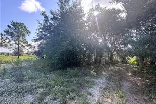 2251 E Four Seasons Ln, Inverness, FL 34453 - Photo 1