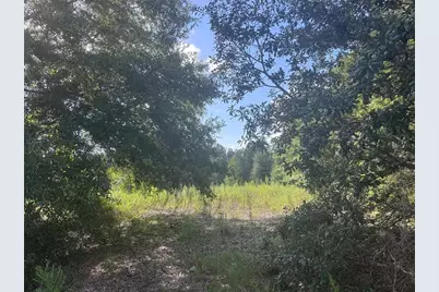 2251 E Four Seasons Lane, Inverness, FL 34453 - Photo 7