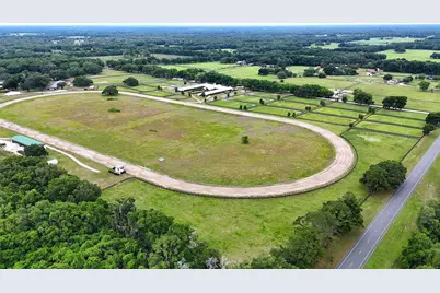 19431 NE 17th Place, Williston, FL 32696 - Photo 1
