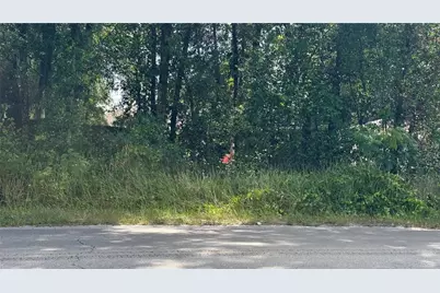 Lot #00 SE 62nd Street, Belleview, FL 34420 - Photo 3