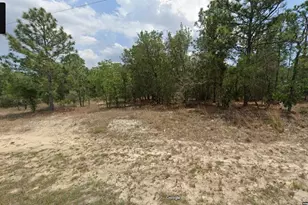 3248 W Eunice Dr, Citrus Springs, FL 34433 - Photo 1