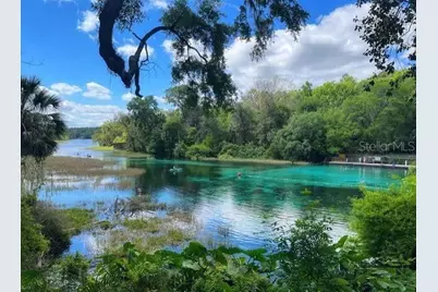 20260 SW 80th Place Road, Dunnellon, FL 34431 - Photo 5