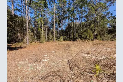 Sw Soundview Drive, Dunnellon, FL 34431 - Photo 9