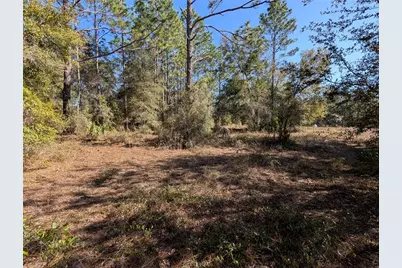 Sw Soundview Drive, Dunnellon, FL 34431 - Photo 7