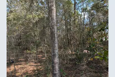 Sw 30th Place, Ocala, FL 34481 - Photo 3