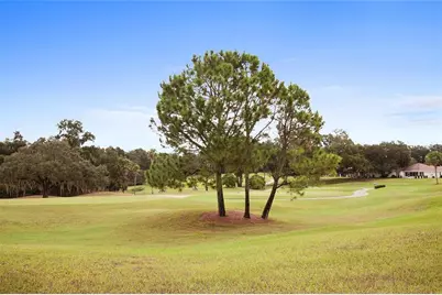 12765 SE 92nd Court Road, Summerfield, FL 34491 - Photo 85