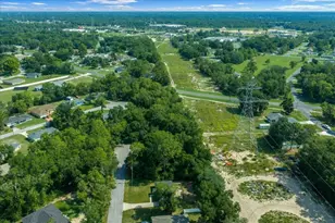 37 Water Track Course, Ocala, FL 34472 - Photo 41
