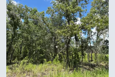 12601 SW 98th Street, Dunnellon, FL 34432 - Photo 3