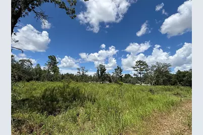12601 SW 98th Street, Dunnellon, FL 34432 - Photo 1