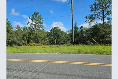 0000 NE 60th Street, Bronson, FL 32621 - Photo 1