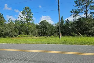 0000 NE 60th St, Bronson, FL 32621 - Photo 1