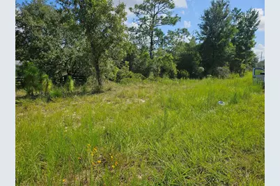 0000 NE 60th Street, Bronson, FL 32621 - Photo 5