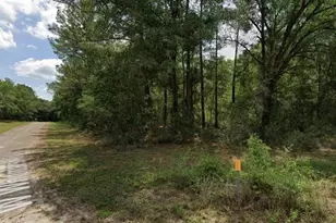 346 W Whitmarsh Ct, Citrus Springs, FL 34434 - Photo 1