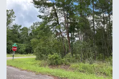 Lot 1 Bay Court Pass, Ocklawaha, FL 32179 - Photo 3