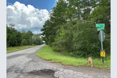 Lot 1 Bay Court Pass, Ocklawaha, FL 32179 - Photo 5