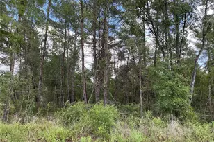 Lot 1 Bay Ct Pass, Ocklawaha, FL 32179 - Photo 1