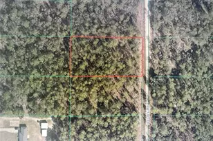 SW 138th Terrace, Dunnellon, FL 34432 - Photo 1