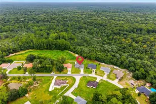 47 Redwood Track Course, Ocala, FL 34472 - Photo 41