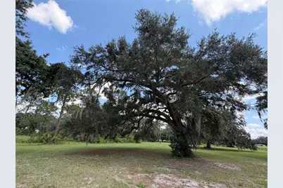 11309 SE Highway 42, Summerfield, FL 34491 - Photo 7