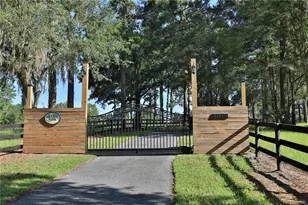 [Address not provided], Micanopy, FL 32667 - Photo 29