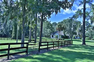 [Address not provided], Micanopy, FL 32667 - Photo 51