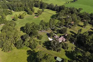 [Address not provided], Micanopy, FL 32667 - Photo 55