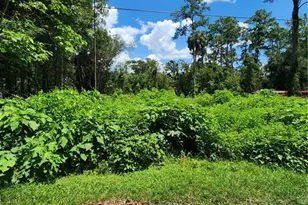 5221 SE 25th Ave, Ocala, FL 34480 - Photo 1