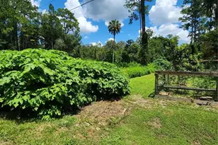 5231 SE 25th Ave, Ocala, FL 34480 - Photo 1