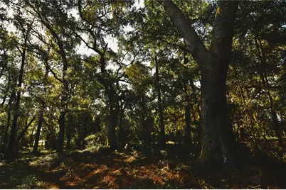 00 Hall Lake Road, Keystone Heights, FL 32656 - Photo 29