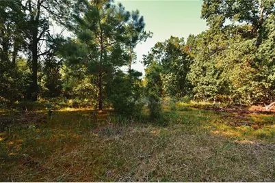 00 Hall Lake Road, Keystone Heights, FL 32656 - Photo 23