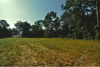 00 Hall Lake Road, Keystone Heights, FL 32656 - Photo 19