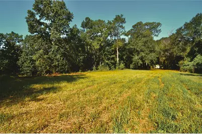 00 Hall Lake Road, Keystone Heights, FL 32656 - Photo 5