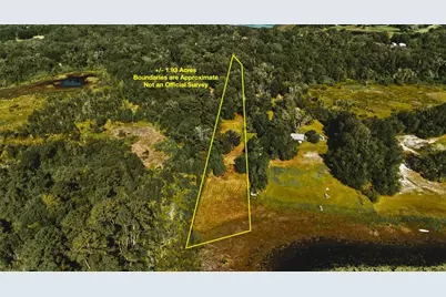 00 Hall Lake Road, Keystone Heights, FL 32656 - Photo 3